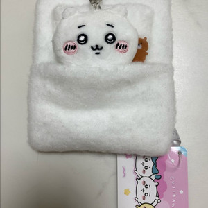 치이카와 릴패스