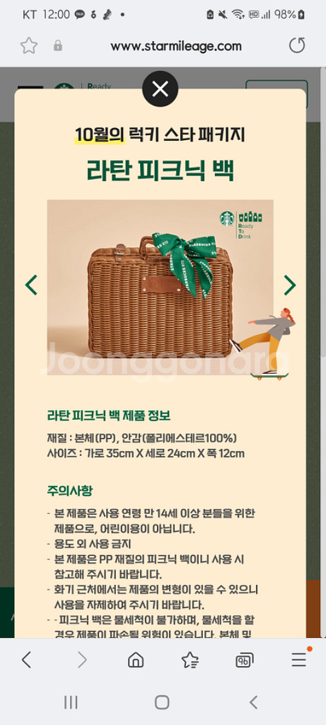 2024 스타벅스 RTD 스타마일리지 라탄 피크닉 백--0