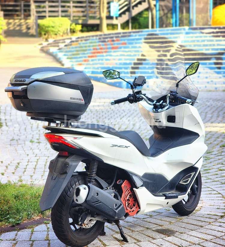 21년식 PCX125 ABS 화이트 1.6km 팝니다.--2