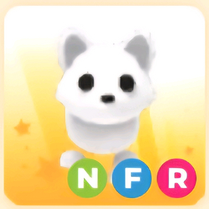 입양하세요 NFR 북극여우 (네북여)