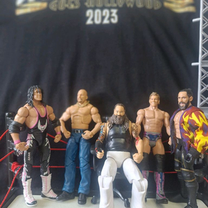 wwe. 피규어