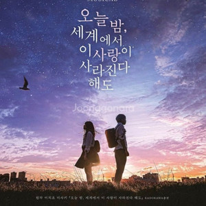 오늘밤 세계에서 이사랑이 사라진다 해도 뮤지컬