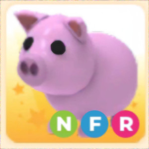 입양하세요 NFR 돼지 (네돼지)