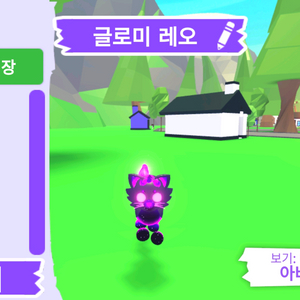 입양하세요 펫 메가네온 글로미 레오 판매합니다.