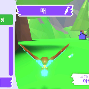 입양하세요 펫 메가네온 매 판매합니다.