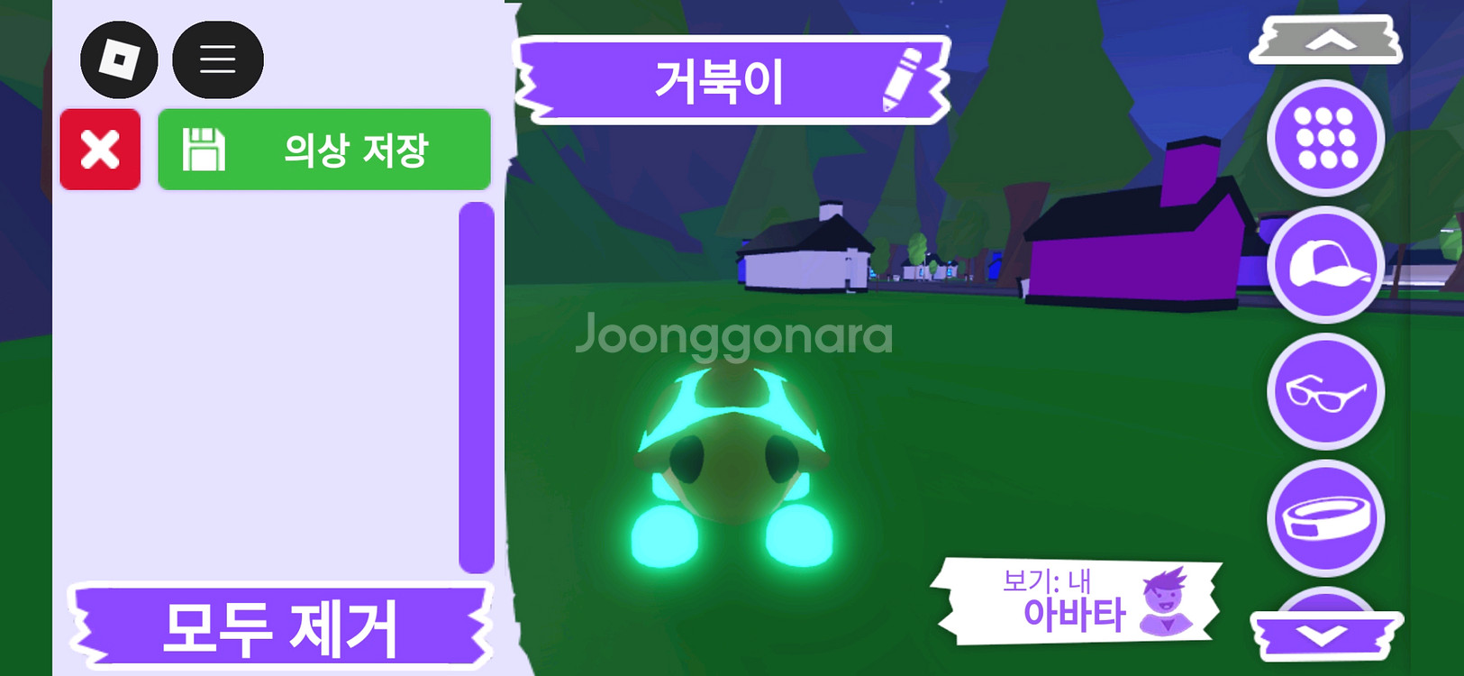 입양하세요 펫 메가네온 거북이입양하세요 펫 메가네온 거--0