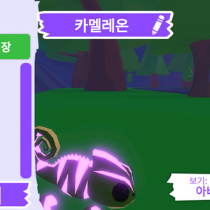 입양하세요 펫 메가네온 카멜레온 판매합니다