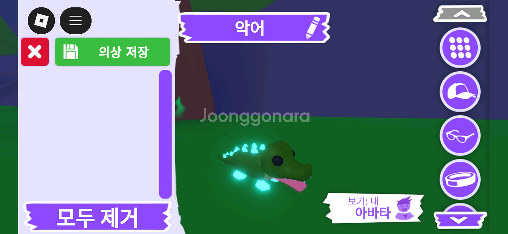 입양하세요 펫 메가네온 악어 판매합니다.--2