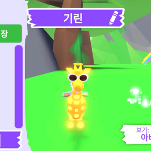 입양하세요 펫 메가네온 기린(메기린) 판매합니다