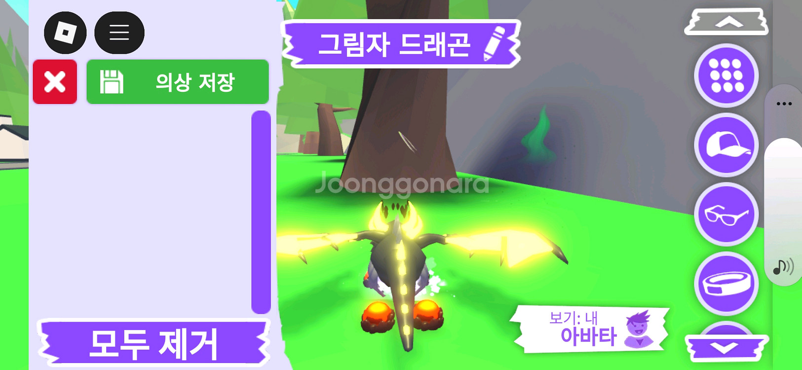 입양하세요 펫 메가네온 그림자 드래곤(메쉐)판매합니다--3