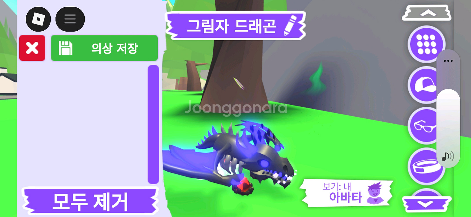 입양하세요 펫 메가네온 그림자 드래곤(메쉐)판매합니다--1