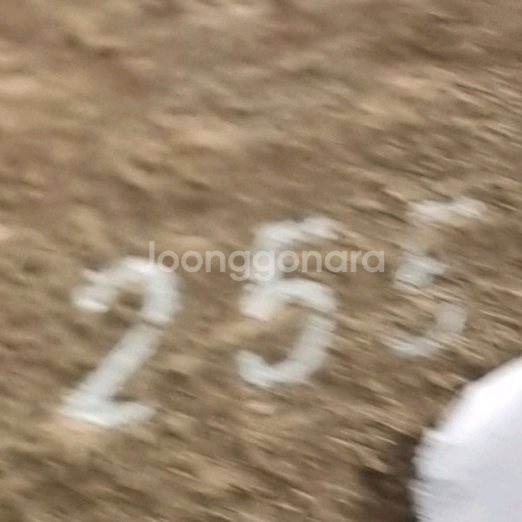 소다옴므 남성정장구두 255.--5