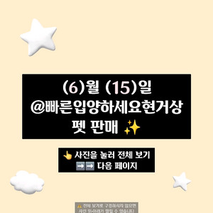 입양하세요 펫 (프리즘 나비 등)