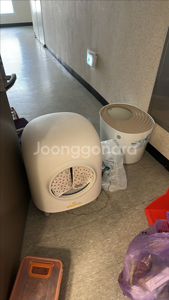 고양이화장실--0