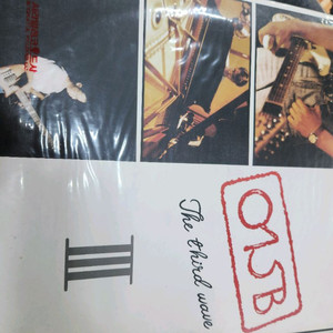 015B The Third Wave LP 음반