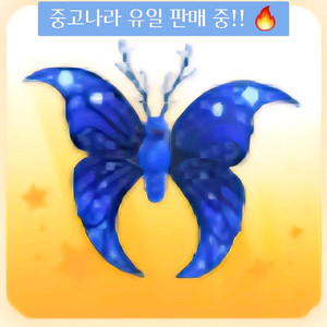 입양하세요 펫 달빛 나비 (재고26)