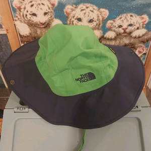 노스페이스 정품 고어텍스 모자 남성용 L (61) 사이