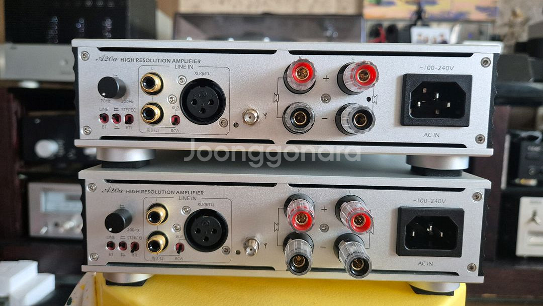 sabaj a20a 모노모노 앰프팝니다--1