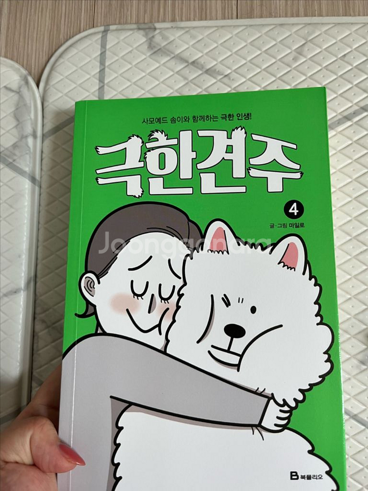 만화책--0