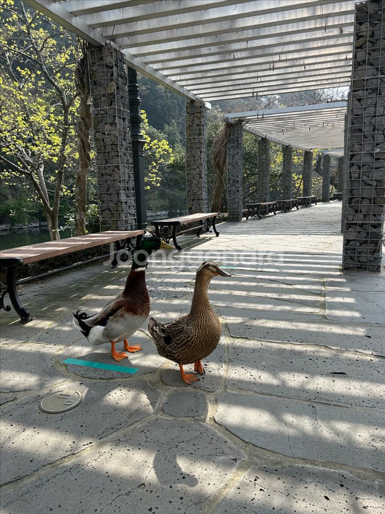 해병 구형 혹한복 내피--0