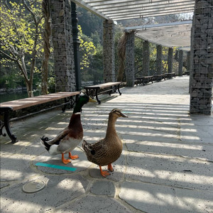 해병 구형 혹한복 내피