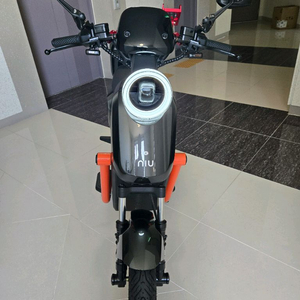 전기 지전거 (직수입)