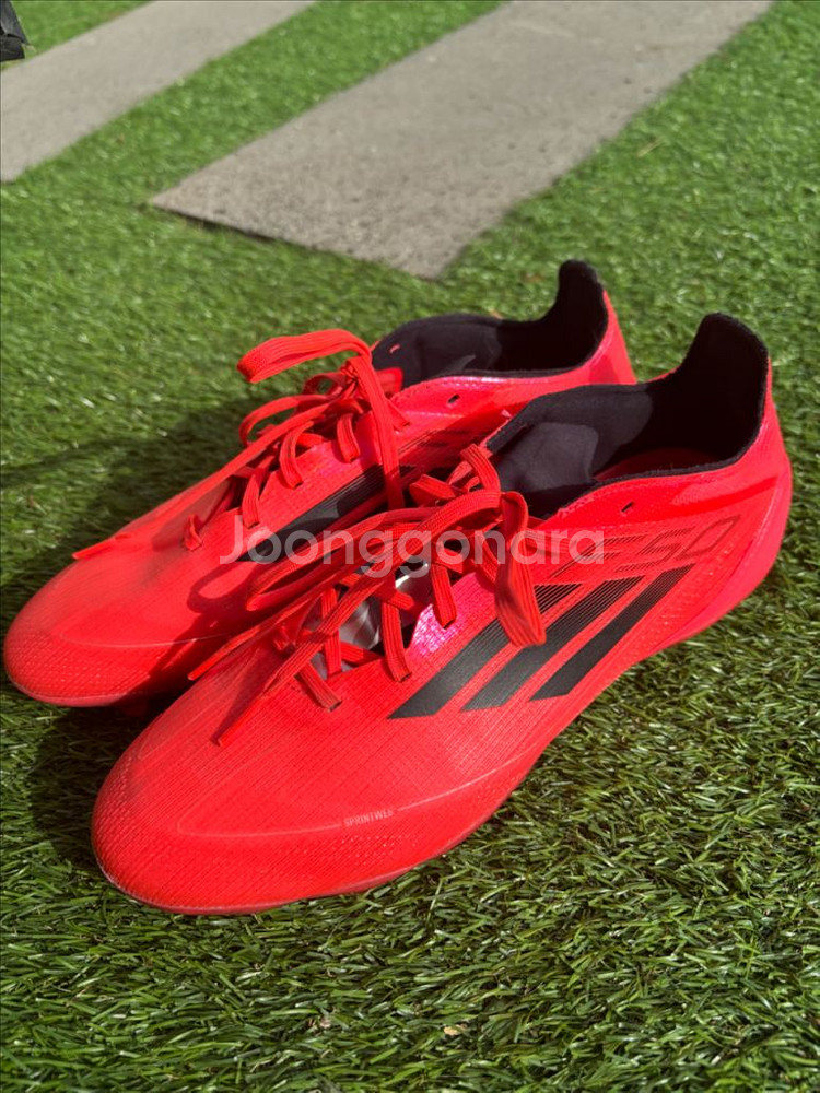 f50 프로 mg 275--1