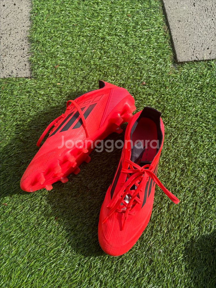 f50 프로 mg 275--2
