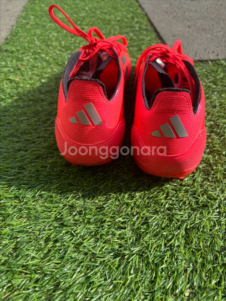 f50 프로 mg 275--3
