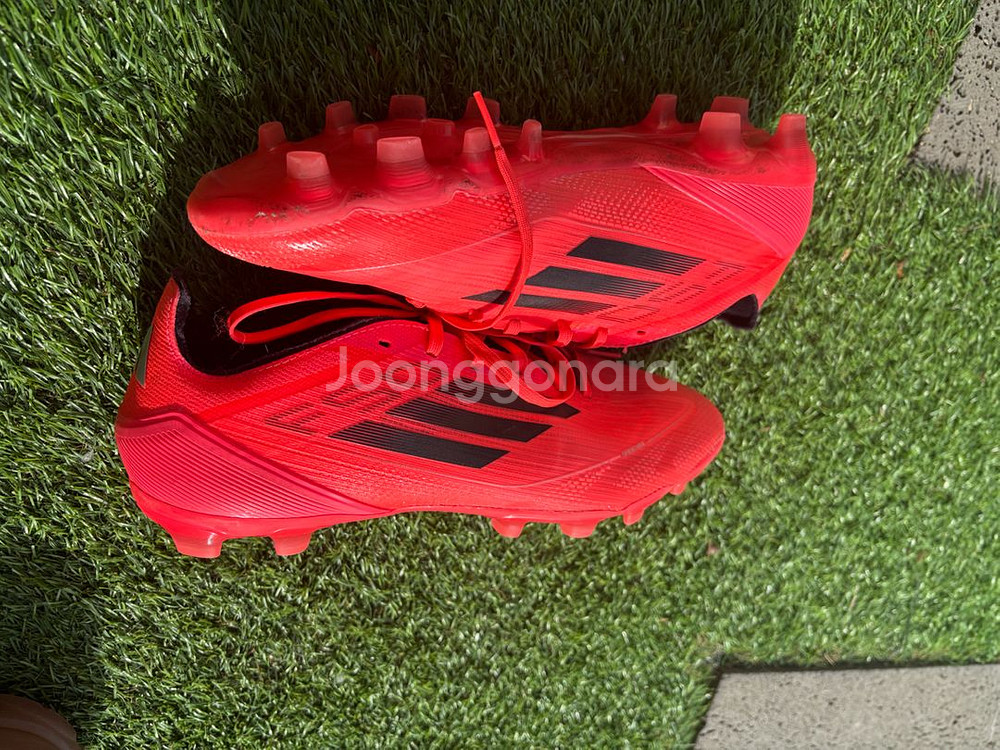f50 프로 mg 275--4