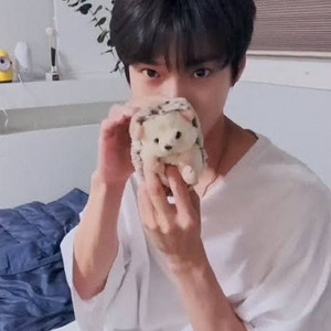 2개일괄) nct 도영 고슴도치인형
