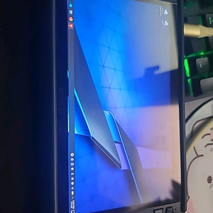 급처) 흑갈리 2테라 로갈리X Rog Ally X