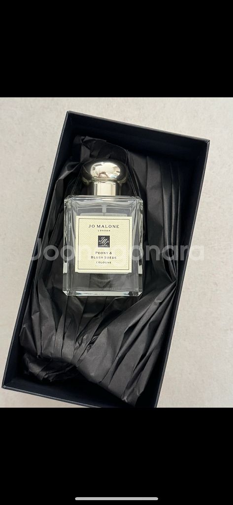 조말론 향수 피오니 앤 블러쉬 코롱 50ml--0