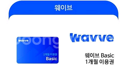 웨이브 베이직 1개월--0