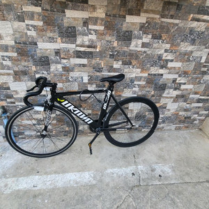 언노운 싱귤러리티 2 2022년식 팝니다