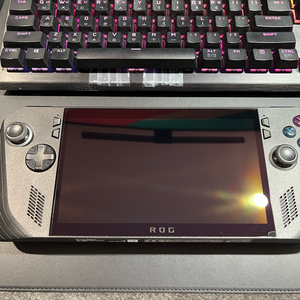 흑갈리x 1tb 판매합니다. rog ally, 로갈리