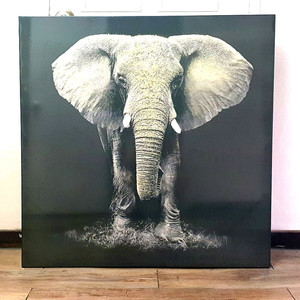 인테리어 대형 코끼리 그림 액자 100cm
