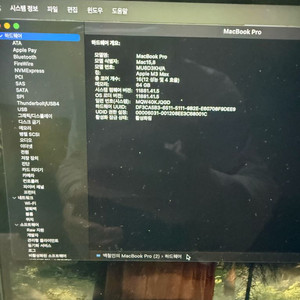 맥북 프로 14인치( M3 Max, 64GB,2TB