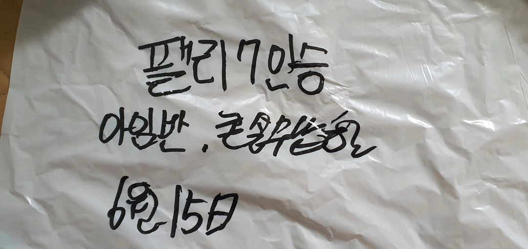 팰리세이드 7인승 트렁크 차박매트. 아임반 암쿠션, 콘 이미지