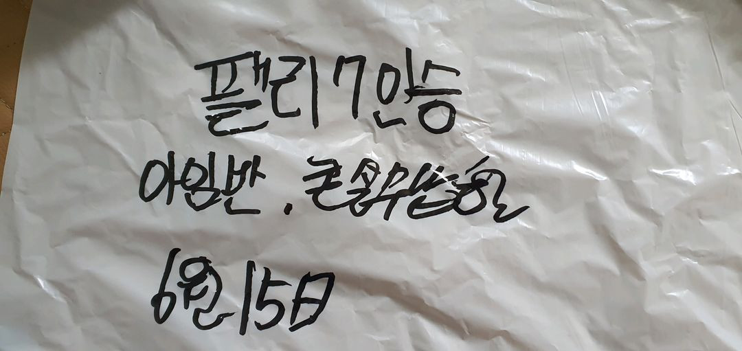 팰리세이드 7인승 트렁크 차박매트. 아임반 암쿠션, 콘 이미지