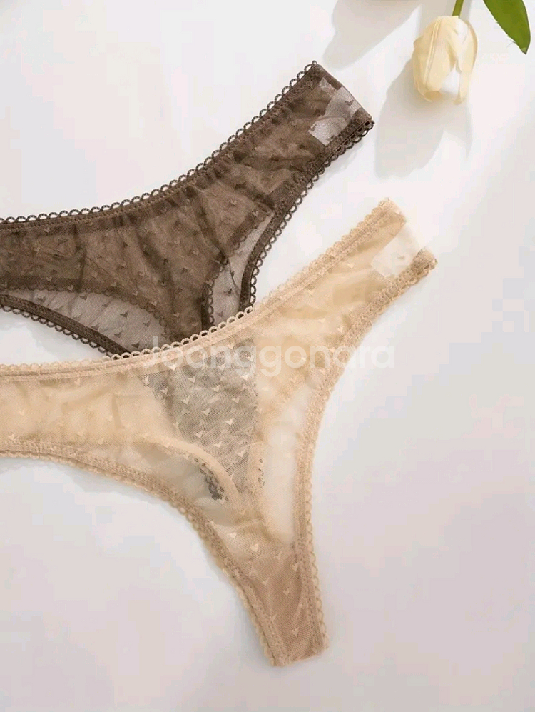 섹시하고 고급스러운 티팬티--3
