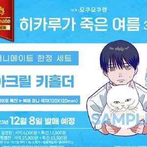 구해요 히카루가 죽은 여름