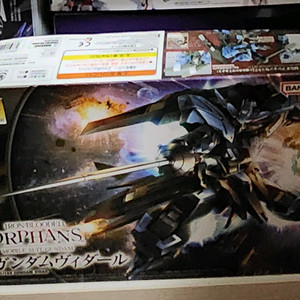 HG 건담 비다르