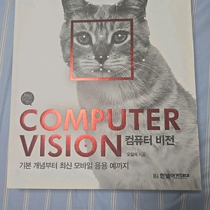 computer vision