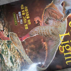 일러스트 화보집