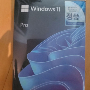 [미개봉/무배]윈도우11 프로 FPP, USB pro