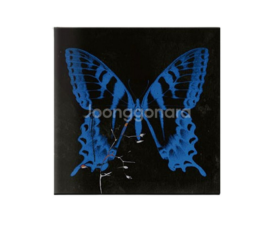 송소희 공중무용 친필 앨범--0