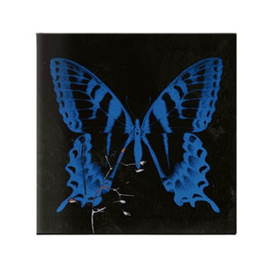 송소희 공중무용 친필 앨범