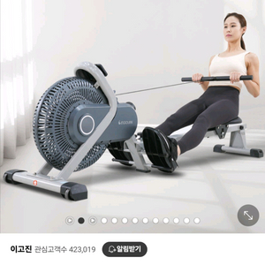 이고진R500가정용로잉머신