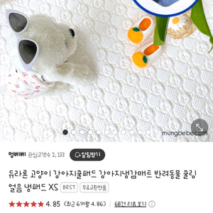 듀라론패드 강아지 아기패드